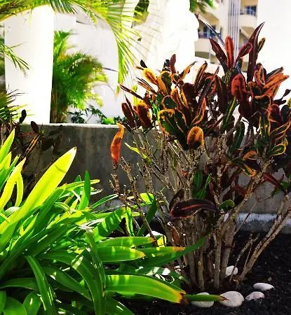 Paradise Ocean * Адехе